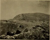 An illustration from Illustrated catalogue of the completed pictures left by the late Henry Ward Ranger, N.A. : and his collection of works by some of his contemporaries (1917)