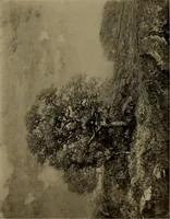 Picture 19 of 49 from Illustrated catalogue of the completed pictures left by the late Henry Ward Ranger, N.A. : and his collection of works by some of his contemporaries (1917), leaf 66