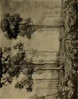 An illustration from Illustrated catalogue of the completed pictures left by the late Henry Ward Ranger, N.A. : and his collection of works by some of his contemporaries (1917)