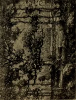 An illustration from Illustrated catalogue of the completed pictures left by the late Henry Ward Ranger, N.A. : and his collection of works by some of his contemporaries (1917)