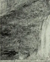 An illustration from Illustrated catalogue of the notable private collection of paintings and pastels by ... Hilaire Edgar Degas (1921)