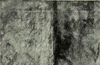 An illustration from Illustrated catalogue of the notable private collection of paintings and pastels by ... Hilaire Edgar Degas (1921)