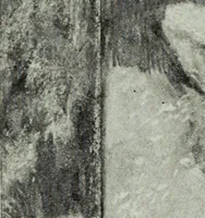 An illustration from Illustrated catalogue of the notable private collection of paintings and pastels by ... Hilaire Edgar Degas (1921)