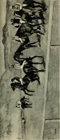 An illustration from Illustrated catalogue of the notable private collection of paintings and pastels by ... Hilaire Edgar Degas (1921)