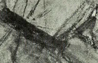 An illustration from Illustrated catalogue of the notable private collection of paintings and pastels by ... Hilaire Edgar Degas (1921)