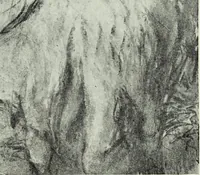 An illustration from Illustrated catalogue of the notable private collection of paintings and pastels by ... Hilaire Edgar Degas (1921)
