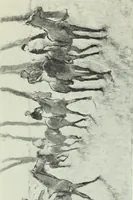 An illustration from Illustrated catalogue of the notable private collection of paintings and pastels by ... Hilaire Edgar Degas (1921)