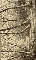 An illustration from Illustrated catalogue of the art gallery of the Southern Exposition, Louisville, Ky., August 16-October 25, 1884 (1884)