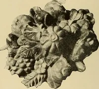 An illustration from Illustrated catalogue of the extraordinary collection of art treasures and antiquities acquired during the past year by Professore Commendatore Elia Volpi ... to be sold at unrestricted public sale at the American Art Galleries [on Monday, Tuesday and Wednesday afternoon, Dec. 17th, 18th and 19th, 1917] (1917)