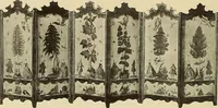 An illustration from Illustrated catalogue of the extraordinary collection of art treasures and antiquities acquired during the past year by Professore Commendatore Elia Volpi ... to be sold at unrestricted public sale at the American Art Galleries [on Monday, Tuesday and Wednesday afternoon, Dec. 17th, 18th and 19th, 1917] (1917)