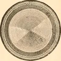 An illustration from Illustrated catalogue of Wadsworth, Howland & Co. : importers and dealers in artists' supplies and architects' and engineers' stationery. (1885)