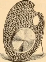 An illustration from Illustrated catalogue of Wadsworth, Howland & Co. : importers and dealers in artists' supplies and architects' and engineers' stationery. (1885)