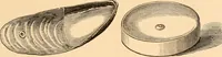 An illustration from Illustrated catalogue of Wadsworth, Howland & Co. : importers and dealers in artists' supplies and architects' and engineers' stationery. (1885)