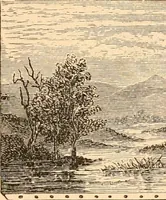 An illustration from Illustrated catalogue of Wadsworth, Howland & Co. : importers and dealers in artists' supplies and architects' and engineers' stationery. (1885)