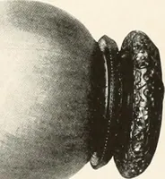 An illustration from Illustrated catalogue of the remarkable collection of ancient Chinese bronzes, beautiful old porcelains, amber and stone carvings, sumptuous eighteenth century brocades, interesting old paintings on glas and fine old carpets, rugs and furniture, from ancient palaces and temples of China comprising the private collection of a Chinese nobleman of Tien-Tsin (1914)