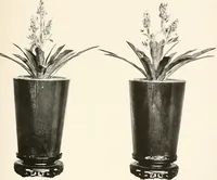 An illustration from Illustrated catalogue of the remarkable collection of ancient Chinese bronzes, beautiful old porcelains, amber and stone carvings, sumptuous eighteenth century brocades, interesting old paintings on glas and fine old carpets, rugs and furniture, from ancient palaces and temples of China comprising the private collection of a Chinese nobleman of Tien-Tsin (1914)