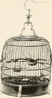 An illustration from Illustrated catalogue of the remarkable collection of ancient Chinese bronzes, beautiful old porcelains, amber and stone carvings, sumptuous eighteenth century brocades, interesting old paintings on glas and fine old carpets, rugs and furniture, from ancient palaces and temples of China comprising the private collection of a Chinese nobleman of Tien-Tsin (1914)