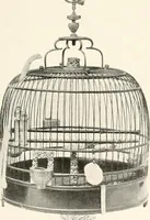An illustration from Illustrated catalogue of the remarkable collection of ancient Chinese bronzes, beautiful old porcelains, amber and stone carvings, sumptuous eighteenth century brocades, interesting old paintings on glas and fine old carpets, rugs and furniture, from ancient palaces and temples of China comprising the private collection of a Chinese nobleman of Tien-Tsin (1914)