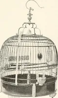 An illustration from Illustrated catalogue of the remarkable collection of ancient Chinese bronzes, beautiful old porcelains, amber and stone carvings, sumptuous eighteenth century brocades, interesting old paintings on glas and fine old carpets, rugs and furniture, from ancient palaces and temples of China comprising the private collection of a Chinese nobleman of Tien-Tsin (1914)