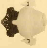An illustration from Illustrated catalogue of an exhibition of oriental art treasures ; exhibited at the Yamanaka gallery, Boston, Mass., Dec., 1916 (1916)