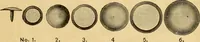 An illustration from Illustrated catalogue and price list of artists' materials, gold paint, bronze powders, metallics, metal leaf, &c. : colors and materials for china and glass painting ; colors and materials for oil, water color & pastel painting and drawing, &c. (1894)