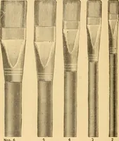 Picture 125 of 151 from Illustrated catalogue and price list of artists' materials, gold paint, bronze powders, metallics, metal leaf, &c. : colors and materials for china and glass painting ; colors and materials for oil, water color & pastel painting and drawing, &c. (1894), leaf 155