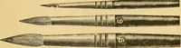 Picture 128 of 151 from Illustrated catalogue and price list of artists' materials, gold paint, bronze powders, metallics, metal leaf, &c. : colors and materials for china and glass painting ; colors and materials for oil, water color & pastel painting and drawing, &c. (1894), leaf 158