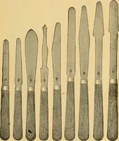 Picture 28 of 151 from Illustrated catalogue and price list of artists' materials, gold paint, bronze powders, metallics, metal leaf, &c. : colors and materials for china and glass painting ; colors and materials for oil, water color & pastel painting and drawing, &c. (1894), leaf 56