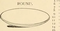 An illustration from Illustrated catalogue of Wadsworth, Howland & Co. : importers and dealers in artists' supplies and architects' and drafting materials. (1895)