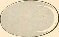 An illustration from Illustrated catalogue of Wadsworth, Howland & Co. : importers and dealers in artists' supplies and architects' and drafting materials. (1895)