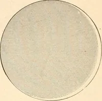 An illustration from Illustrated catalogue of Wadsworth, Howland & Co. : importers and dealers in artists' supplies and architects' and drafting materials. (1895)