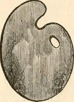 Picture 22 of 149 from Illustrated catalogue of Wadsworth, Howland & Co. : importers and dealers in artists' supplies and architects' and drafting materials. (1895), leaf 33