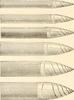 An illustration from Illustrated catalogue of Wadsworth, Howland & Co. : importers and dealers in artists' supplies and architects' and drafting materials. (1895)