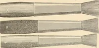An illustration from Illustrated catalogue of Wadsworth, Howland & Co. : importers and dealers in artists' supplies and architects' and drafting materials. (1895)