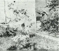 An illustration from Illustrated catalogue of valuable old and modern paintings of artistic distinction .. (1921)