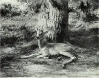 Picture 57 of 122 from Illustrated catalogue of valuable old and modern paintings of artistic distinction .. (1921), leaf 111