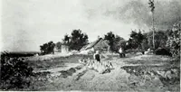 An illustration from Illustrated catalogue of valuable old and modern paintings of artistic distinction .. (1921)