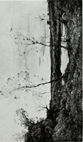 An illustration from Illustrated catalogue of valuable old and modern paintings of artistic distinction .. (1921)