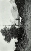 An illustration from Illustrated catalogue of valuable old and modern paintings of artistic distinction .. (1921)