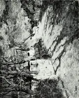 An illustration from Illustrated catalogue of valuable old and modern paintings of artistic distinction .. (1921)