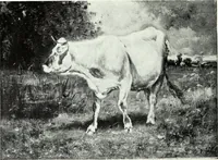 An illustration from Illustrated catalogue of valuable old and modern paintings of artistic distinction .. (1921)