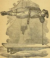 An illustration from Illustrated descriptive price-list of magical apparatus and illusions .. (1884)