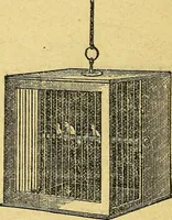 An illustration from Illustrated descriptive price-list of magical apparatus and illusions .. (1884)