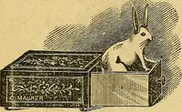 Picture 142 of 153 from Illustrated descriptive price-list of magical apparatus and illusions .. (1884), leaf 110