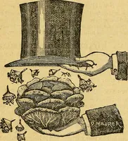 Picture 49 of 153 from Illustrated descriptive price-list of magical apparatus and illusions .. (1884), leaf 24