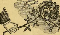 Picture 58 of 153 from Illustrated descriptive price-list of magical apparatus and illusions .. (1884), leaf 30