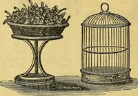 An illustration from Illustrated descriptive price-list of magical apparatus and illusions .. (1884)