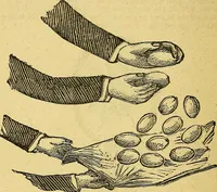 An illustration from Illustrated descriptive price-list of magical apparatus and illusions .. (1884)