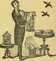 Picture 82 of 153 from Illustrated descriptive price-list of magical apparatus and illusions .. (1884), leaf 51