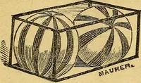 Picture 83 of 153 from Illustrated descriptive price-list of magical apparatus and illusions .. (1884), leaf 52
